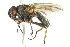  ( - 10BBCDIP-1837)  @13 [ ] CreativeCommons - Attribution (2010) CBG Photography Group Centre for Biodiversity Genomics