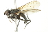  ( - 10BBCDIP-1855)  @12 [ ] CreativeCommons - Attribution (2010) CBG Photography Group Centre for Biodiversity Genomics