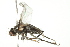  ( - 10BBCDIP-1856)  @13 [ ] CreativeCommons - Attribution (2010) CBG Photography Group Centre for Biodiversity Genomics