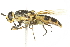  ( - 10BBCDIP-1876)  @12 [ ] CreativeCommons - Attribution (2010) CBG Photography Group Centre for Biodiversity Genomics
