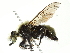  ( - 10BBCDIP-1920)  @13 [ ] CreativeCommons - Attribution (2010) CBG Photography Group Centre for Biodiversity Genomics