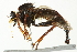  ( - 10BBCDIP-1924)  @13 [ ] CreativeCommons - Attribution (2010) CBG Photography Group Centre for Biodiversity Genomics