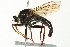 ( - 10BBCDIP-1928)  @13 [ ] CreativeCommons - Attribution (2010) CBG Photography Group Centre for Biodiversity Genomics