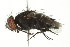  ( - 10BBCDIP-1992)  @13 [ ] CreativeCommons - Attribution (2010) CBG Photography Group Centre for Biodiversity Genomics