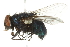  ( - 10BBCDIP-2014)  @12 [ ] CreativeCommons - Attribution (2010) CBG Photography Group Centre for Biodiversity Genomics