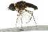  ( - 10BBCDIP-2126)  @12 [ ] CreativeCommons - Attribution (2010) CBG Photography Group Centre for Biodiversity Genomics