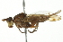  ( - 10BBCDIP-2149)  @13 [ ] CreativeCommons - Attribution (2010) CBG Photography Group Centre for Biodiversity Genomics