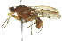  ( - 10BBCDIP-2163)  @13 [ ] CreativeCommons - Attribution (2010) CBG Photography Group Centre for Biodiversity Genomics