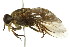  ( - 10BBCDIP-2341)  @14 [ ] CreativeCommons - Attribution (2010) CBG Photography Group Centre for Biodiversity Genomics