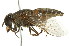  ( - 10BBCDIP-2354)  @14 [ ] CreativeCommons - Attribution (2010) CBG Photography Group Centre for Biodiversity Genomics