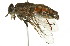  ( - 10BBCDIP-2356)  @14 [ ] CreativeCommons - Attribution (2010) CBG Photography Group Centre for Biodiversity Genomics