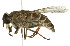  ( - 10BBCDIP-2357)  @14 [ ] CreativeCommons - Attribution (2010) CBG Photography Group Centre for Biodiversity Genomics