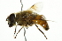  ( - 10BBCDIP-2507)  @14 [ ] CreativeCommons - Attribution (2010) CBG Photography Group Centre for Biodiversity Genomics