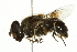  ( - 10BBCDIP-2511)  @14 [ ] CreativeCommons - Attribution (2010) CBG Photography Group Centre for Biodiversity Genomics