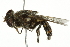  ( - 10BBCDIP-2512)  @12 [ ] CreativeCommons - Attribution (2010) CBG Photography Group Centre for Biodiversity Genomics