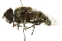  ( - 10BBCDIP-2533)  @14 [ ] CreativeCommons - Attribution (2010) CBG Photography Group Centre for Biodiversity Genomics