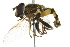  ( - 10BBCDIP-2572)  @14 [ ] CreativeCommons - Attribution (2010) CBG Photography Group Centre for Biodiversity Genomics