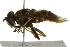  ( - 10BBCDIP-2584)  @13 [ ] CreativeCommons - Attribution (2010) CBG Photography Group Centre for Biodiversity Genomics