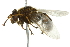 ( - 10BBCDIP-2589)  @13 [ ] CreativeCommons - Attribution (2010) CBG Photography Group Centre for Biodiversity Genomics