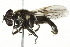  ( - 10BBCDIP-2640)  @13 [ ] CreativeCommons - Attribution (2010) CBG Photography Group Centre for Biodiversity Genomics
