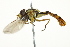  ( - 10BBCDIP-2648)  @13 [ ] CreativeCommons - Attribution (2010) CBG Photography Group Centre for Biodiversity Genomics