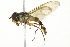  ( - 10BBCDIP-2657)  @14 [ ] CreativeCommons - Attribution (2010) CBG Photography Group Centre for Biodiversity Genomics