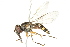  ( - 10BBCDIP-2680)  @14 [ ] CreativeCommons - Attribution (2010) CBG Photography Group Centre for Biodiversity Genomics