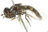  ( - 10BBCDIP-2714)  @13 [ ] CreativeCommons - Attribution (2010) CBG Photography Group Centre for Biodiversity Genomics