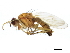 ( - 10BBCDDIP-3205)  @14 [ ] CreativeCommons - Attribution (2011) CBG Photography Group Centre for Biodiversity Genomics
