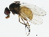  ( - 10BBCDDIP-3208)  @14 [ ] CreativeCommons - Attribution (2011) CBG Photography Group Centre for Biodiversity Genomics