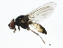 ( - 10BBCDDIP-3209)  @13 [ ] CreativeCommons - Attribution (2011) CBG Photography Group Centre for Biodiversity Genomics