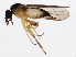  ( - 10BBCDDIP-3254)  @12 [ ] CreativeCommons - Attribution (2011) CBG Photography Group Centre for Biodiversity Genomics