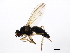  ( - 10BBCDDIP-3255)  @13 [ ] CreativeCommons - Attribution (2011) CBG Photography Group Centre for Biodiversity Genomics