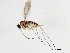  ( - 10BBCDDIP-3283)  @11 [ ] CreativeCommons - Attribution (2011) CBG Photography Group Centre for Biodiversity Genomics
