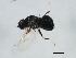  ( - 10BBCDDIP-3291)  @12 [ ] CreativeCommons - Attribution (2011) CBG Photography Group Centre for Biodiversity Genomics