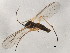  ( - 10BBCDDIP-3348)  @12 [ ] CreativeCommons - Attribution (2011) CBG Photography Group Centre for Biodiversity Genomics