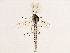  ( - 10BBCDIP-3023)  @13 [ ] CreativeCommons - Attribution (2010) CBG Photography Group Centre for Biodiversity Genomics