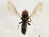  ( - 10BBCDIP-3030)  @13 [ ] CreativeCommons - Attribution (2010) CBG Photography Group Centre for Biodiversity Genomics