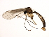  ( - 10BBCDIP-3046)  @13 [ ] CreativeCommons - Attribution (2010) CBG Photography Group Centre for Biodiversity Genomics
