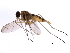  ( - 10BBCDIP-3396)  @11 [ ] CreativeCommons - Attribution (2011) CBG Photography Group Centre for Biodiversity Genomics