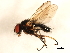  ( - 10BBCDIP-3398)  @13 [ ] CreativeCommons - Attribution (2011) CBG Photography Group Centre for Biodiversity Genomics