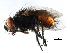  ( - 10BBCDIP-3422)  @12 [ ] CreativeCommons - Attribution (2011) CBG Photography Group Centre for Biodiversity Genomics