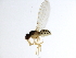  ( - 10BBCDIP-3456)  @13 [ ] CreativeCommons - Attribution (2011) CBG Photography Group Centre for Biodiversity Genomics