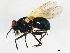  ( - 10BBCDIP-3486)  @12 [ ] CreativeCommons - Attribution (2011) CBG Photography Group Centre for Biodiversity Genomics