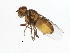  ( - 10BBCDIP-3143)  @13 [ ] CreativeCommons - Attribution (2010) CBG Photography Group Centre for Biodiversity Genomics