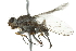  ( - 10BBCDIP-2766)  @13 [ ] CreativeCommons - Attribution (2010) CBG Photography Group Centre for Biodiversity Genomics