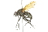  ( - 10BBCDIP-2808)  @14 [ ] CreativeCommons - Attribution (2010) CBG Photography Group Centre for Biodiversity Genomics