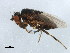  ( - BIOUG01835-A10)  @13 [ ] CreativeCommons - Attribution (2012) CBG Photography Group Centre for Biodiversity Genomics