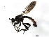  ( - PCPP10-0889)  @11 [ ] CreativeCommons - Attribution (2011) CBG Photography Group Centre for Biodiversity Genomics