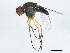  ( - PCPP10-0902)  @12 [ ] CreativeCommons - Attribution (2011) CBG Photography Group Centre for Biodiversity Genomics